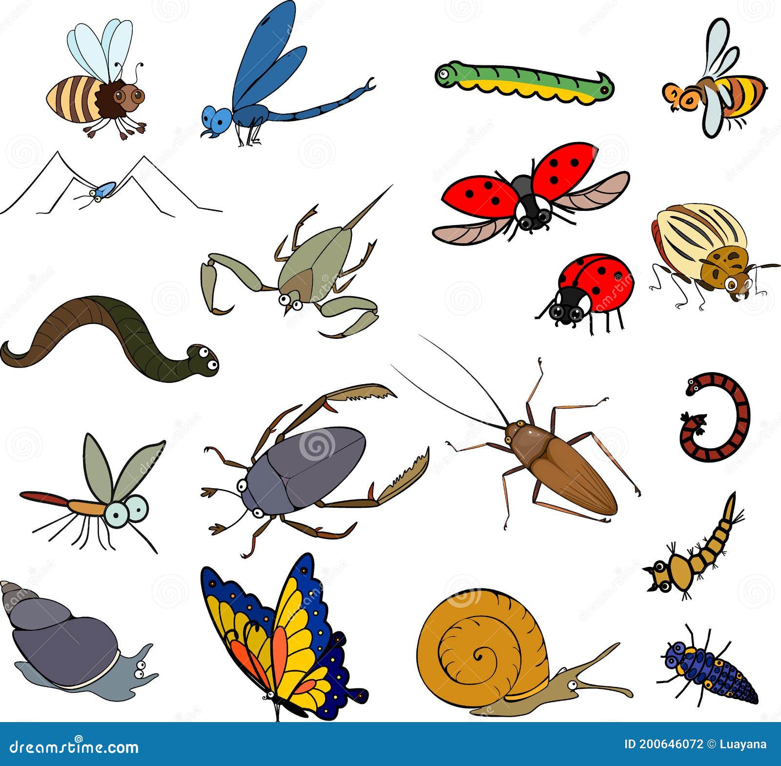 set of cartoon invertebrate animals insects, worms and molluscs  on white